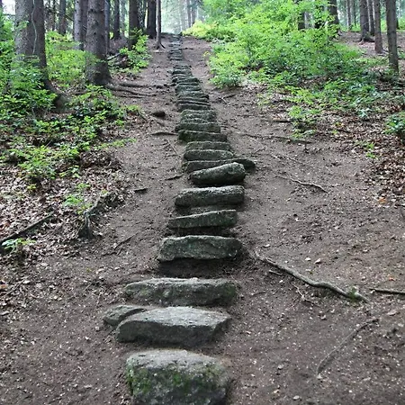 Horská Nad Zubačkou Chalé *
